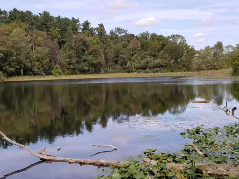 Third Sister Lake, the lake where Dan Bicknell first found contamination in 1984.