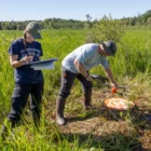 Student researchers Ava Whitlock and Brody Glei get ready to fly a drone equipped with a heat-sensitive camera to find rare eastern massasauga rattlesnakes.