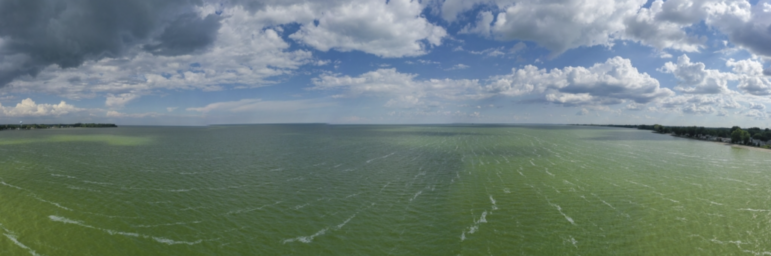 Algal blooms caused by runoff pollution cause Lake Erie water to appear green.