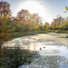 The sun shines over a pond and autumn trees.